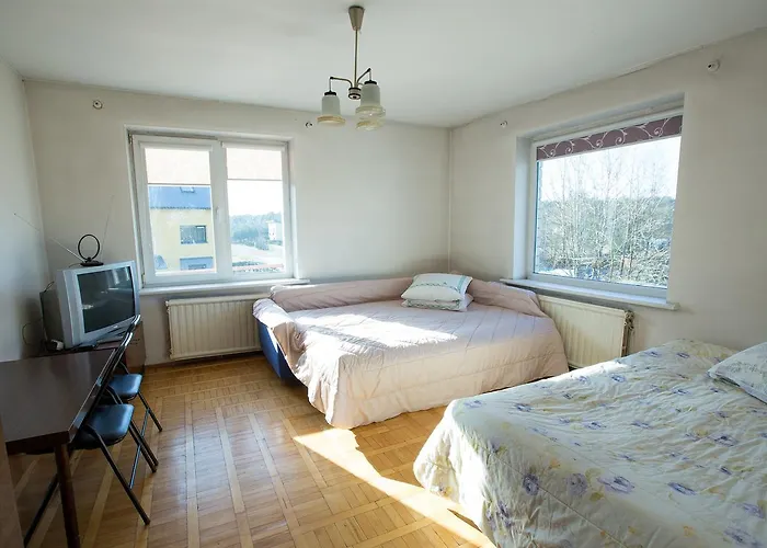 Sveciuose Pas Aldona Druskininkai